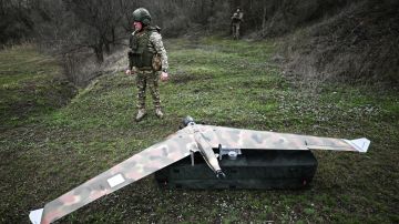 ����������� �����������: "�����" ��������� ����� ��������������