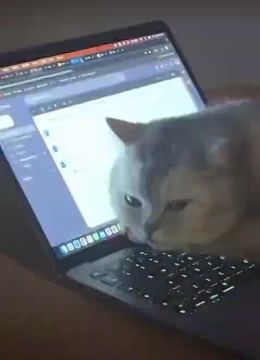 ��, ����� ������ �� �����, � ��� ��������