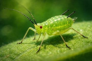 ��� � ��� � �����! ������� ������� ����� ������ ������ ������