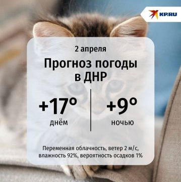 � ��� ������� �� ���� ������ ������, ������ ���������� �� ���������� +17�