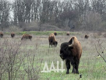 ��������� ������� �� ������� ��� ����������� 15 ������