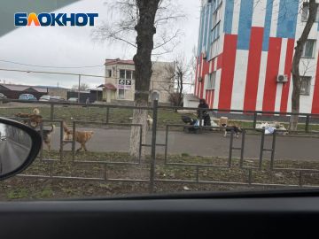 �������, ���������� ���� �������� ����� �������� �����, �������� � ����� ���������