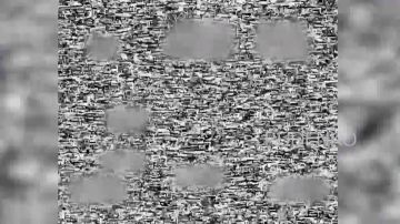 ������ �������: ������� ���� 51-� ����������� ����� ����������� ������ ���������� ����� ������������ � ���������� ������� ��� �� ������������� �����������