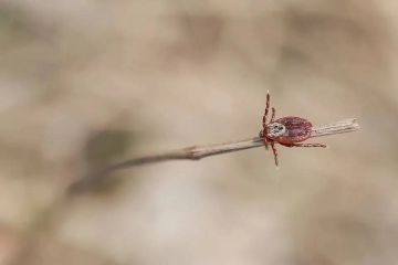 ���������� - �����!�: ������� ��� ��������� � ����� ���������������� � ������ ������ ��� ����� �������� ����������