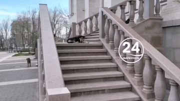 ����������� ���������� ����������� �������� ���� ��������� ����� � ������