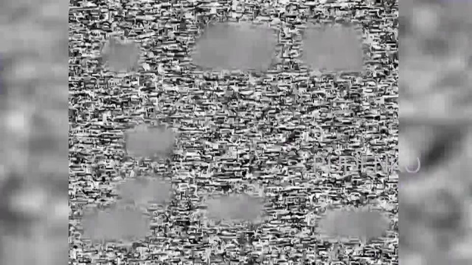 ������ �������: ������� ���� 51-� ����������� ����� ����������� ������ ���������� ����� ������������ � ���������� ������� ��� �� ������������� �����������