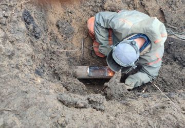 ����� �����: ������������� ��������� ������� ��������� ������ ���� � ���������