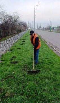 ������������� �������� ���������� ��������������� ���������� ������ �����������