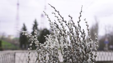 � ���������� �������� ����������� �������� �� ������ �������