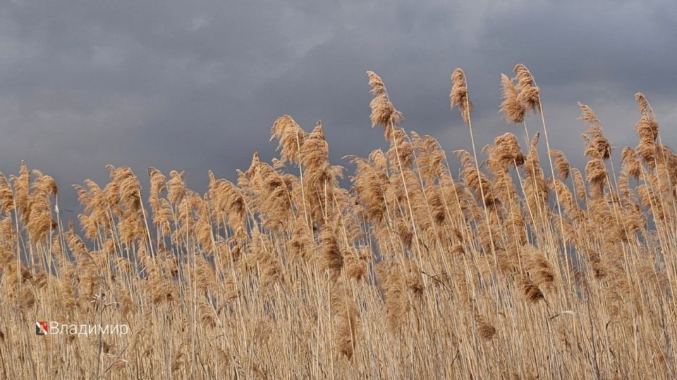 ����� ��������: ������ ����, ������� �����!