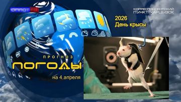 ������� ������. 4 ������ � ��������� ���� �����