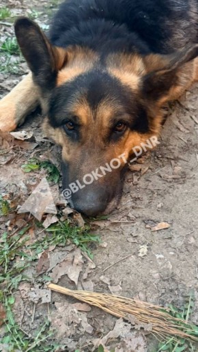 ��������� ������ ��������� � ����������� ������ ������� ���: �������, �� ���?