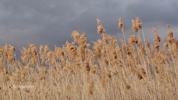 ����� ��������: ������ ����, ������� �����!