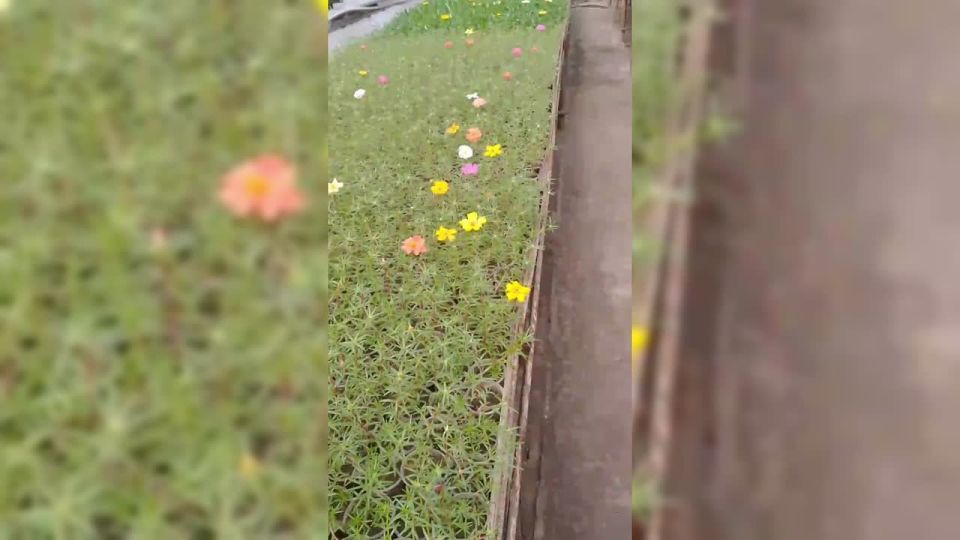 � �������� ����������� ������� ������������� ������������ �����: ������ ������ ������� � ������ � ������ ���� ������� �������� � ������� ��������