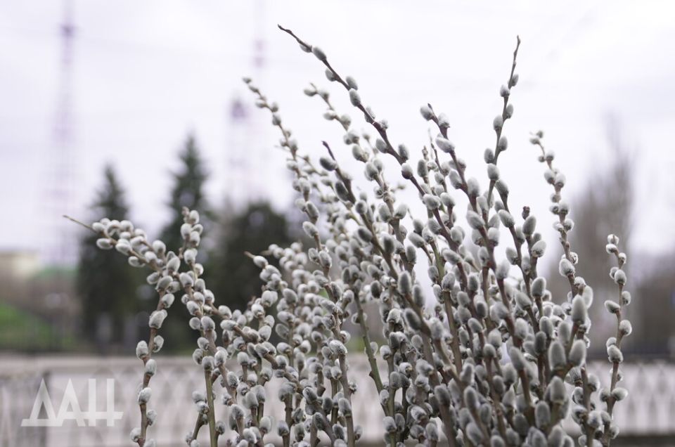 �������� � ������. ��������� ������������ ������� ��� � ��������� �����������