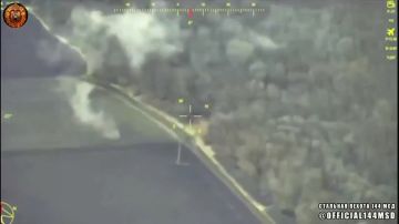 Комплексный удар по расположению боевиков ВСУ в лесу в районе сел Адамовка и Новониколаевка, ДНР