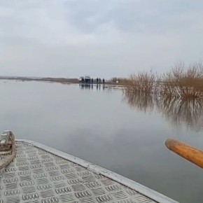 ������� ����� ���� ������� � ���������� �������