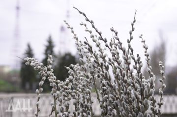 �������� � ������. ��������� ������������ ������� ��� � ��������� �����������