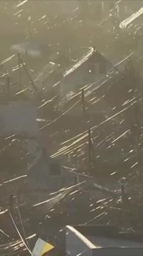 Залежи оптоволокна в районе Красного Лимана после массированного применения FPV-дронов на оптоволокне