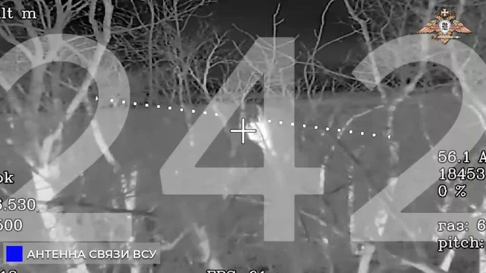 242 ��� ������ ����, ������� ��� � ���� ��� � ������������ � ������������