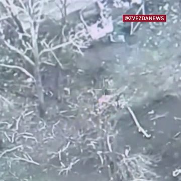 Разведгруппа ВСУ пыталась переместиться к позициям наших подразделений — на охоту за ними вылетели наши БПЛА