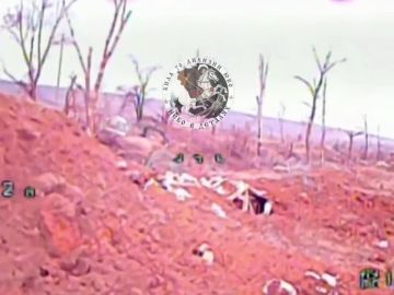 Донецкое направление.. Прожарка опорных пунктов "Гадом" весна, время шашлыков двойной удар, ибо оптоволоконные дроны, сделаны руками специалистов ТЭЧ