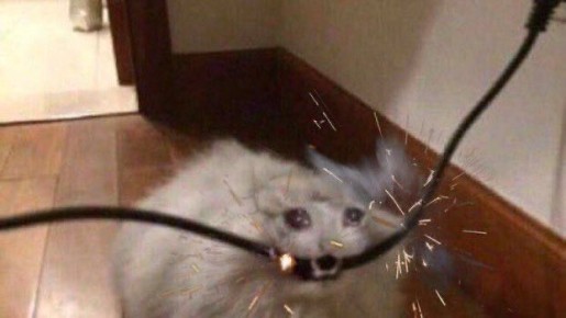 ������, ��������, ���������� - �������� ����������