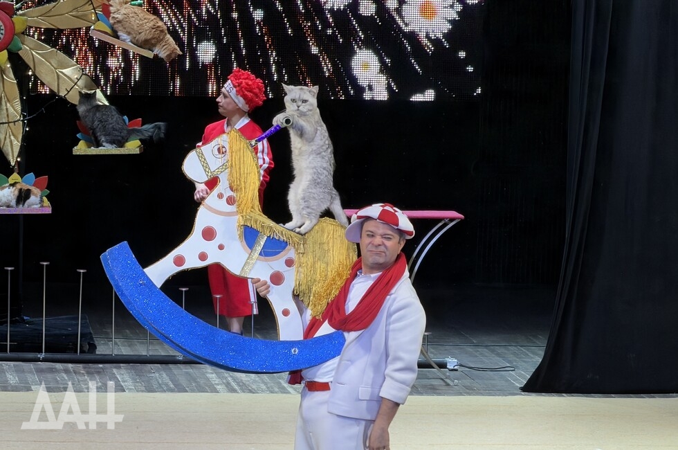 Три хвостика. Кошки из зоны СВО вышли на сцену Донбасса с театром Куклачева