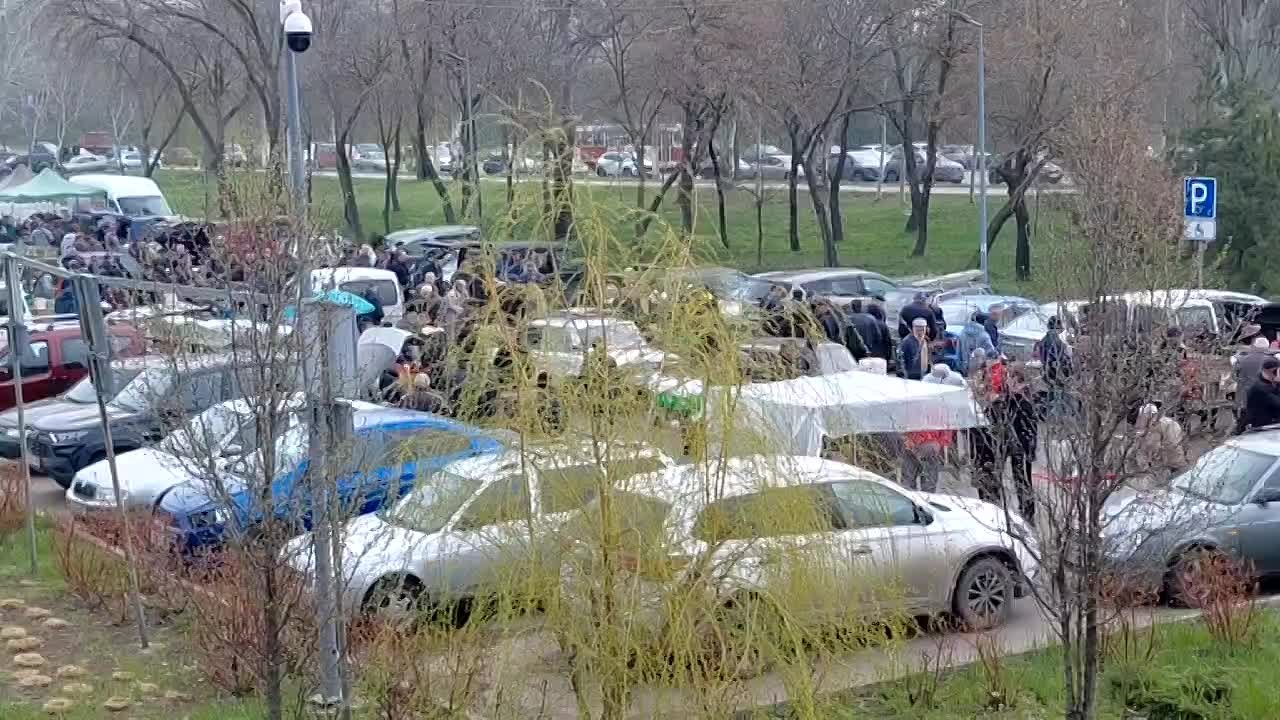 Праздник пернатых и пушистиков состоялся!