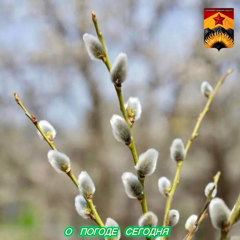 ��������� �����: ������������� ������� � ������ � ���������� ������