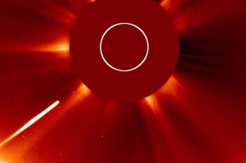 Не пережила встречу с Солнцем