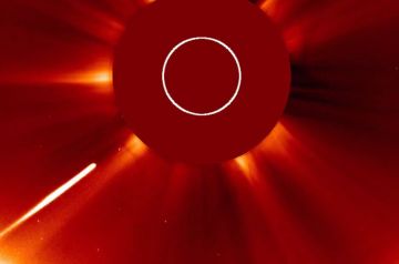 Не пережила встречу с Солнцем. Первая комета года погибла, став частью звезды