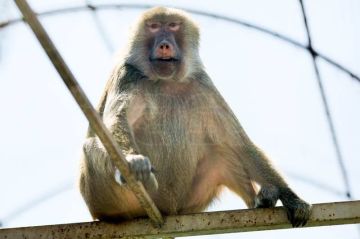 �������� �������������� ��������: �������� ��� � ����� �� ����