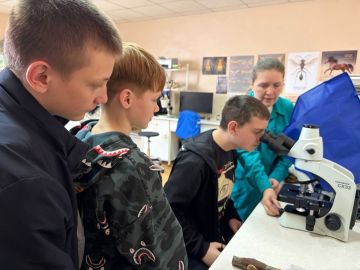 ��������� � ������ �������� ������� � ��� ����������� �� ������ ���������, �� � �������� ����� ������, ��������� ��������, ������������� � ��������, ��������� � �������� ������ ����