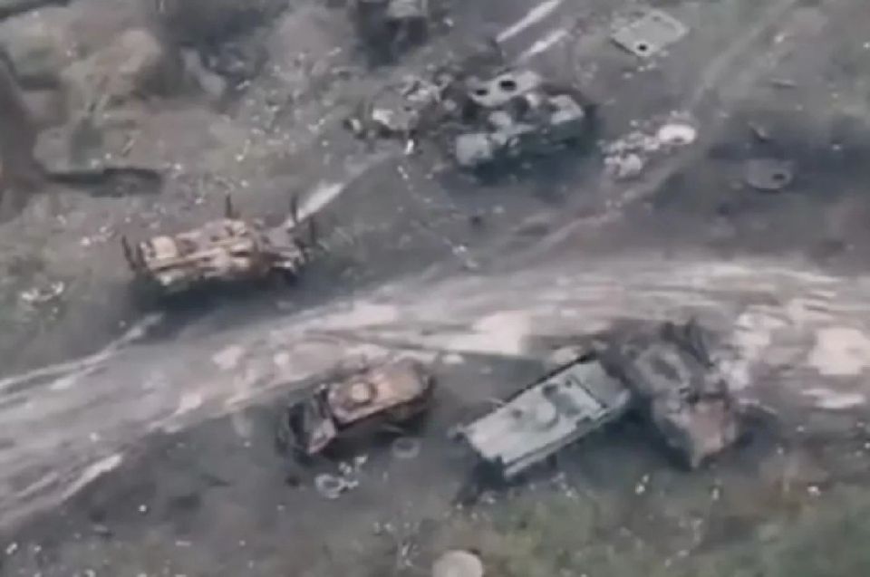 ������� ��� �����: ��� � ���������� ������ ����� ��������