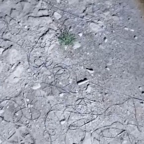 ������ ����������: �� ���������� �������� � �������