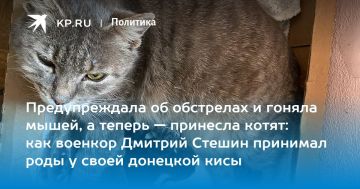 ������� ������: �������� ����������� ������ ���� ���� �������� ���� � �������������-������������ �����