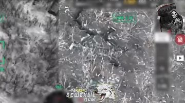 ���� ��������� �������� ����� ��� ������ ��������� �� 59 ������� �� ������������� �����������