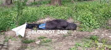 ��� �������� �������� ������ � �������, �� ����������������� ���������