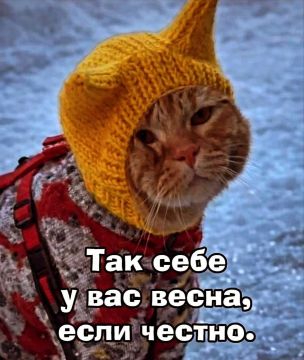 ��������� �����? ���� ���������, � ������ ������ �����!