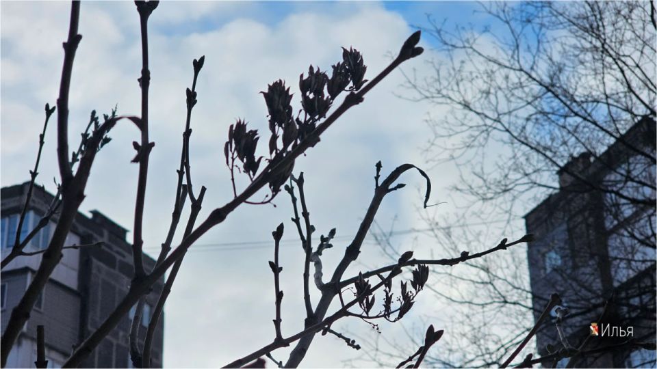 ����� ��������: � ����� ����!. #�������� #������������������ #���������������