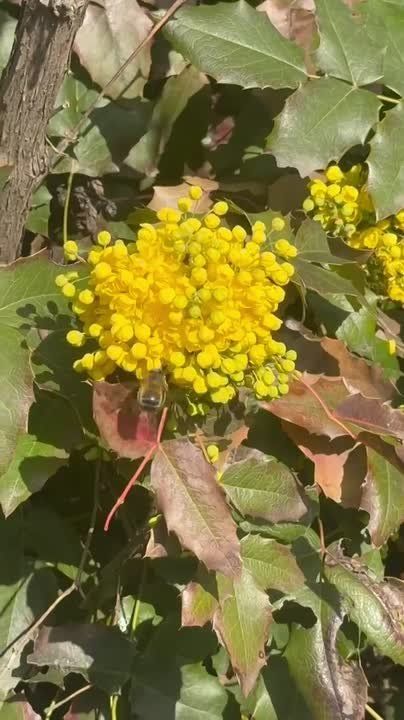 ������� ����������: ����� � ���������� ����� �� �� ��������, ��� ��������� �����, ��� �� �����