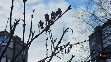 ����� ��������: � ����� ����!. #�������� #������������������ #���������������