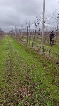 ����������� �����-�������� ������� ����������������� ���� � �����������