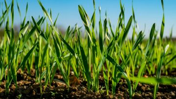 �� ����������� ������, � �������������������� ������������ ��� ��������� ������ ������� ��� ������ 2026 ���� � ����� ����������� ��� ����������