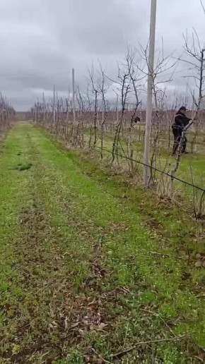 ����������� �����-�������� ������� ����������������� ���� � �����������