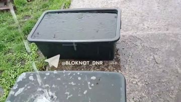 ������� �������� �������� ����, ���� � ������ �� ����� �� ����