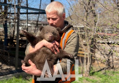 � ������������� �������� ����������: ������ ����� ����������