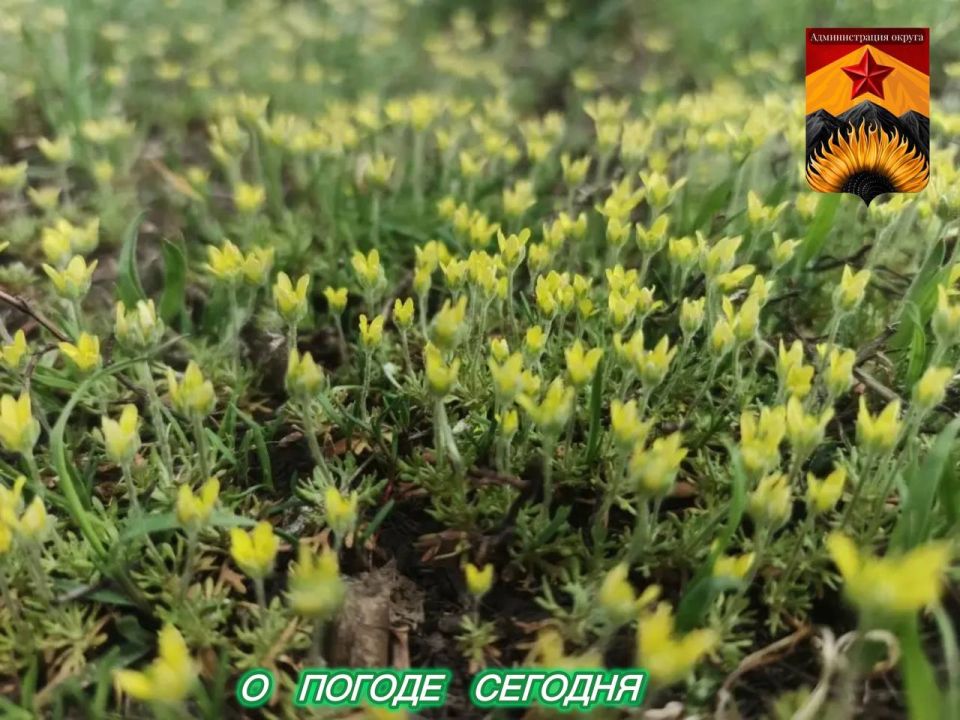 ��������� �����: ������������� ������� � ������ � ���������� ������