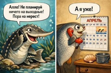 ���� ������ ����! �������� ���� � ��� ���������� ��� ��������� ������� ����